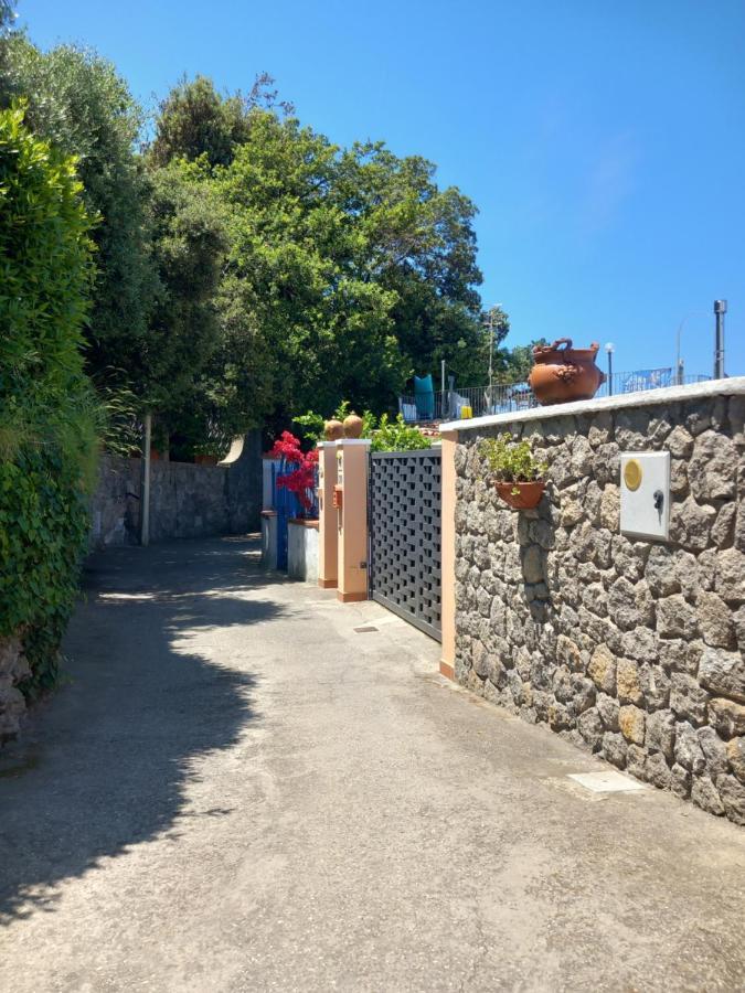 Villetta Panoramica Forio di Ischia Exterior foto